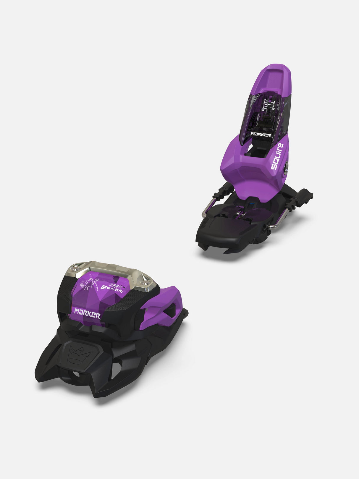 Squire 11 25/26