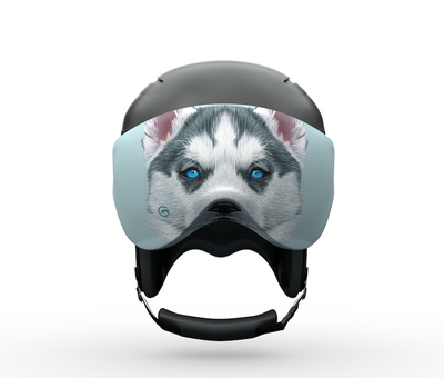 Visorsoc par GoggleSoc