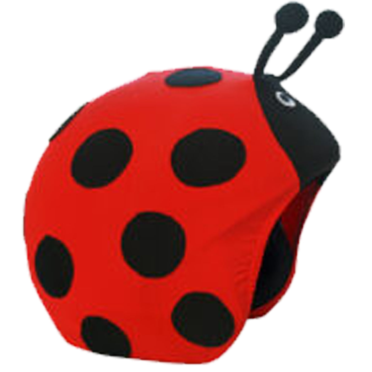 Coccinelle