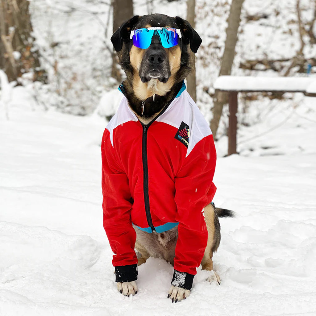 THE ABSOLUTE FREEDOM POLARIZED Single Wide