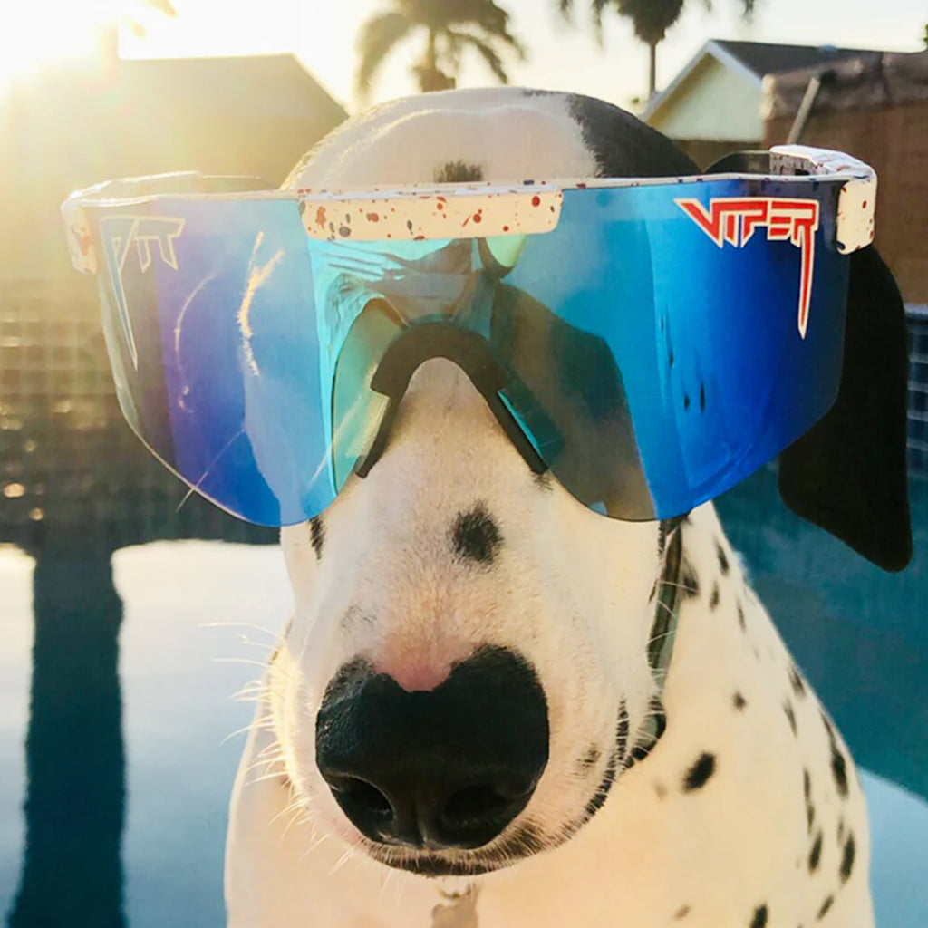 THE ABSOLUTE FREEDOM POLARIZED Double Wide