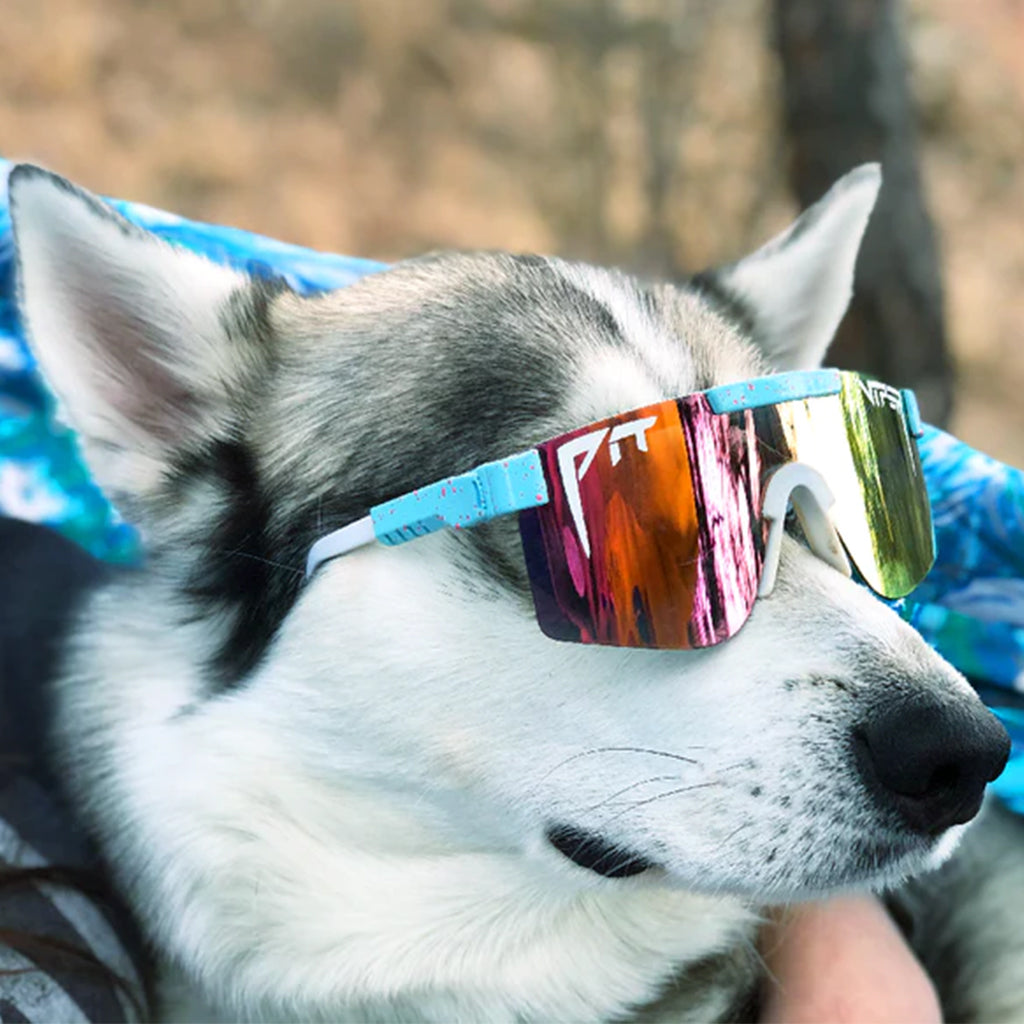 THE GOBBY POLARIZED Double Wide