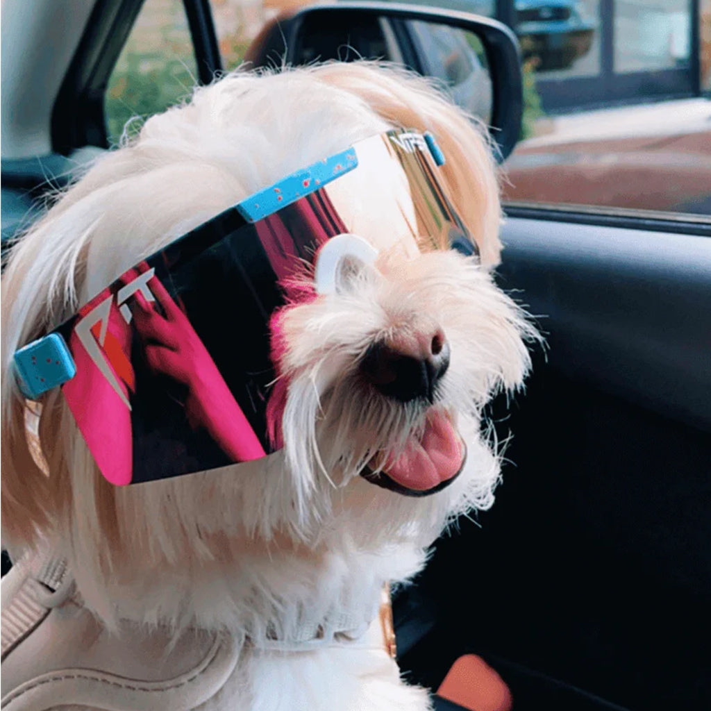 THE GOBBY POLARIZED Double Wide