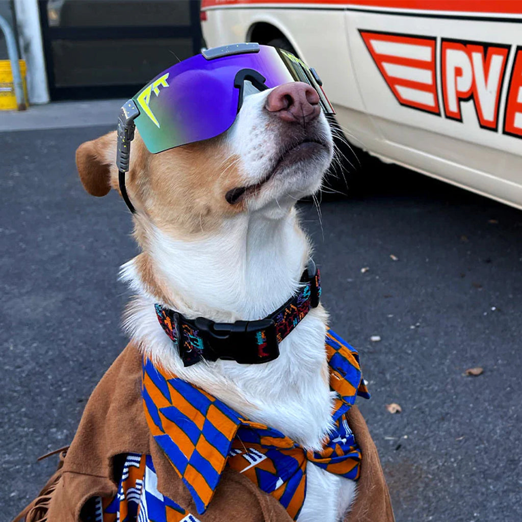 THE LIGHTSPEED POLARIZED Double Wide