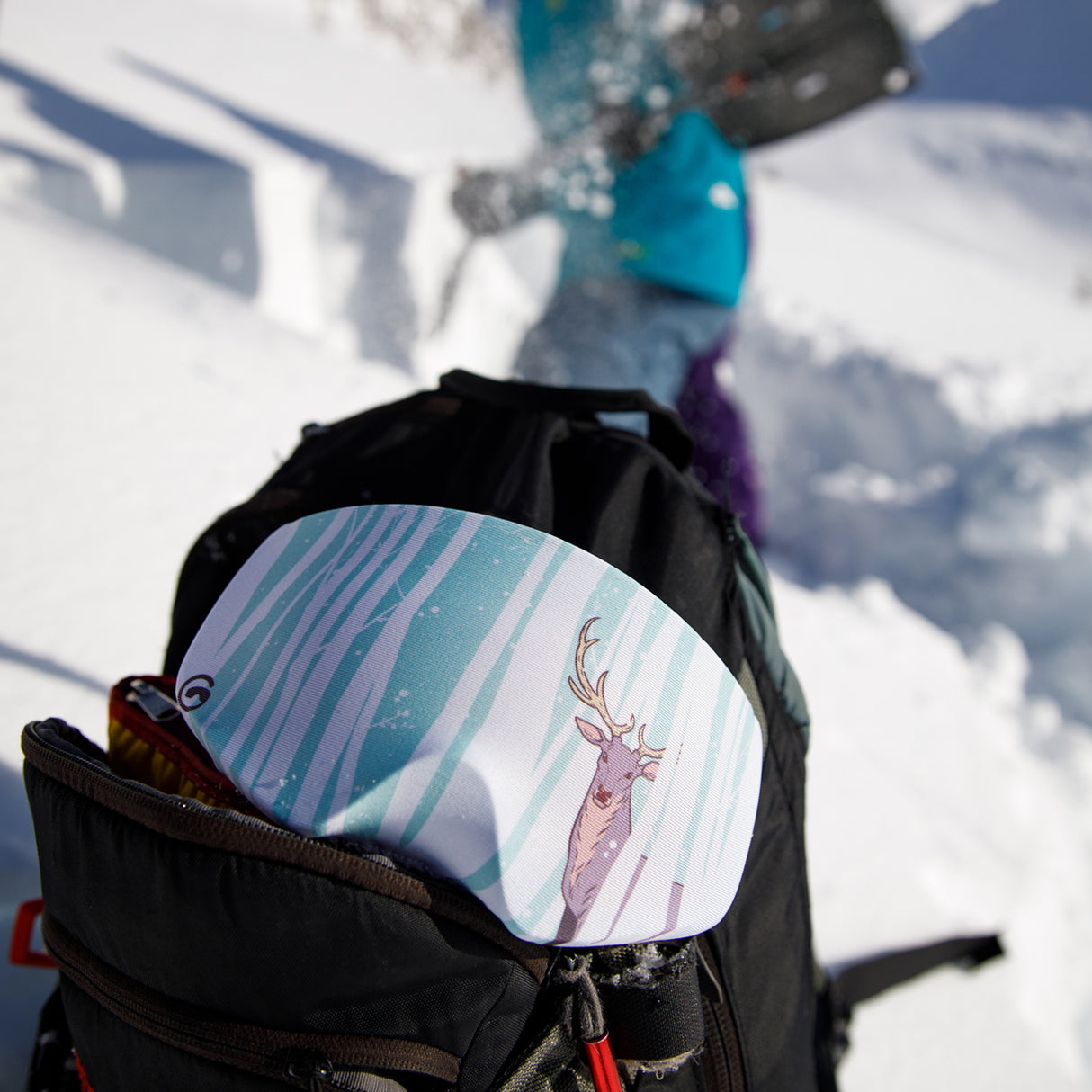 Lunettes de protection Wild