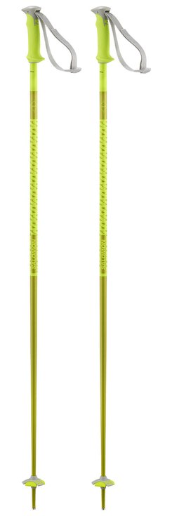 POLAR SKI POLES