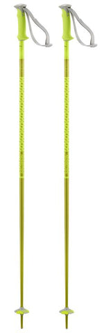 POLAR SKI POLES