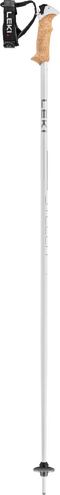 Ski Poles