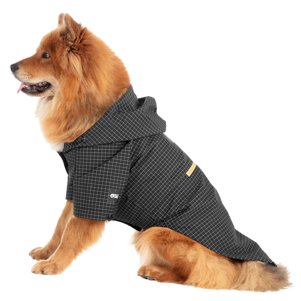 Picture George Palace Dog Jacket | Ski Exchange